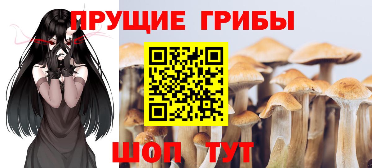 Еманжелинск  как найти закладки  Вход с VPN  Галлюциногенные грибы прущие грибы 